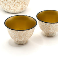 Kyusu Japanese Teapot - Lacquer Tenmoku 3 piece set - White - 150ml