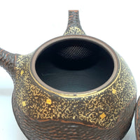 Kyusu Japanese Teapot - Kuroibushi Kinpaku by Yoshiki- #153 450ml