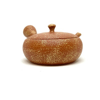 Kyusu Japanese Teapot - Kin tataki - 160ml - #108