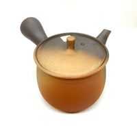 Kyusu Japanese Teapot - 360ml - #433