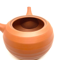 Kyusu Japanese Teapot - - 280ml - #210