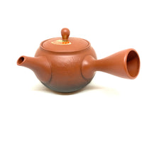 Kyusu Japanese Teapot - Notauchi - 300ml  - #656