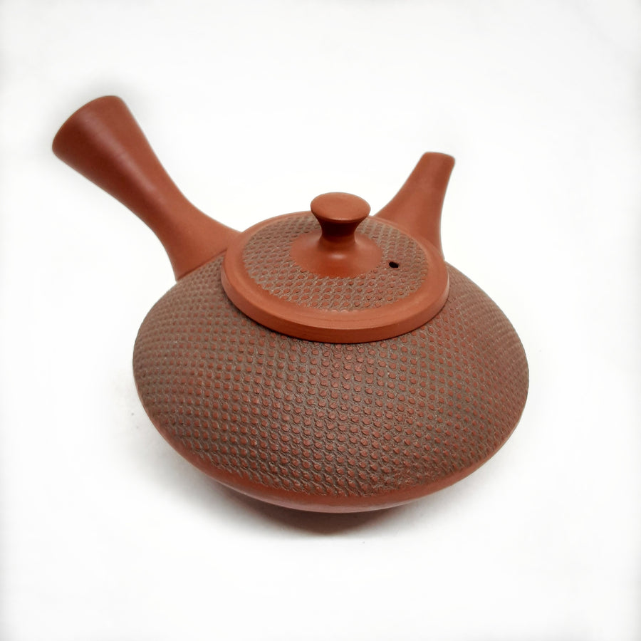Kyusu Japanese Teapot - #1241