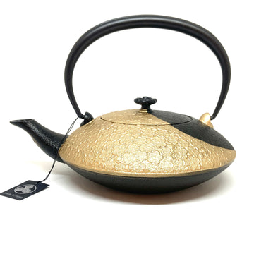 Cast Iron Teapot - Yin Yang  - Blue - 750ml