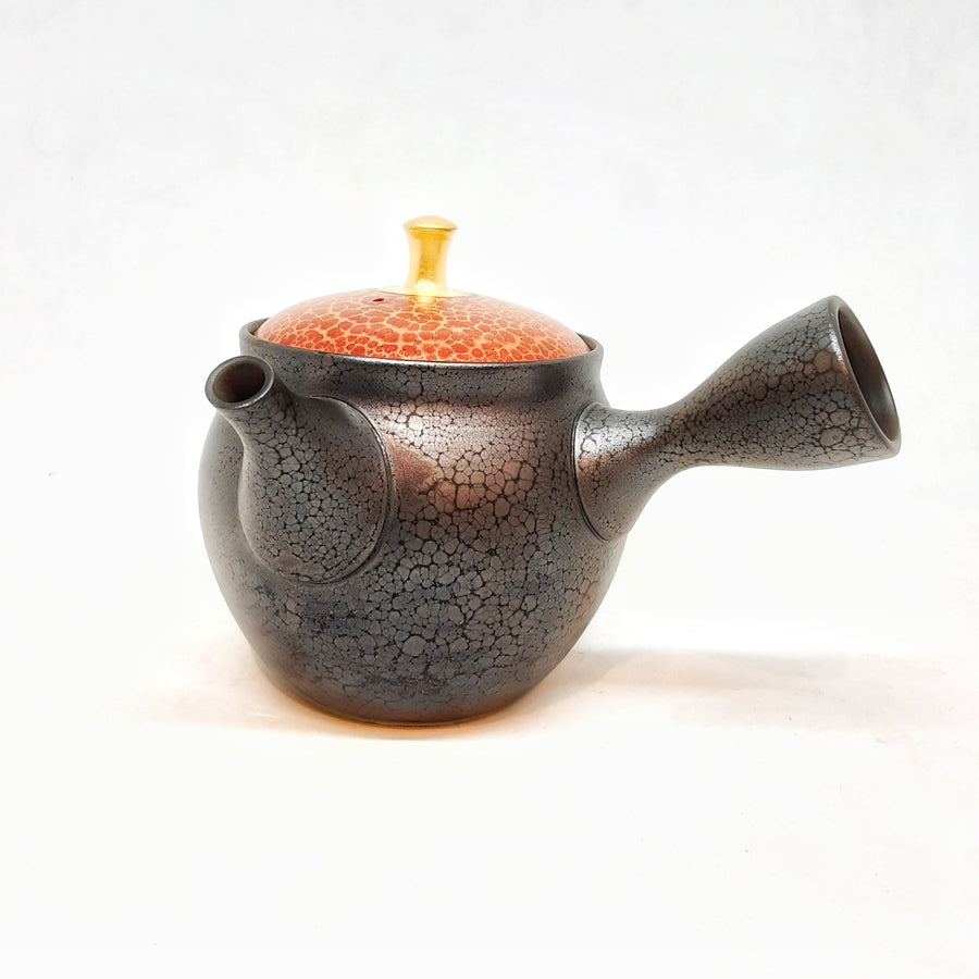 Kyusu Japanese Teapot 230mL - #108