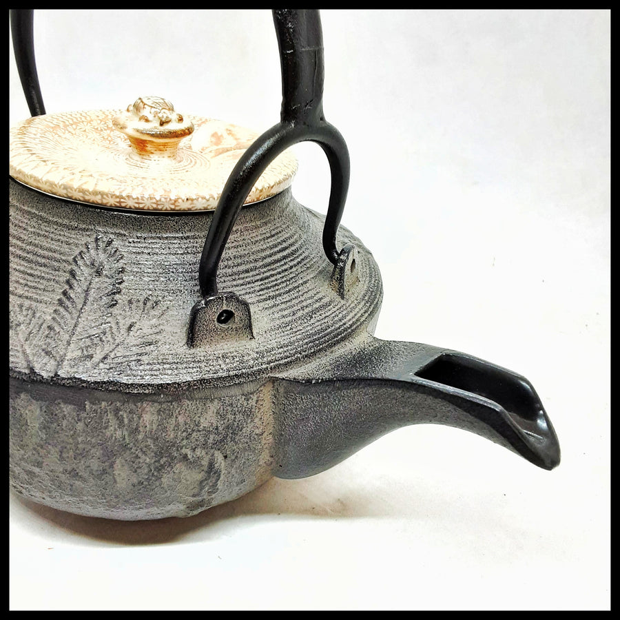 Cast Iron Teapot with Ceramic Lid -Five Auspicious Symbols- M0136